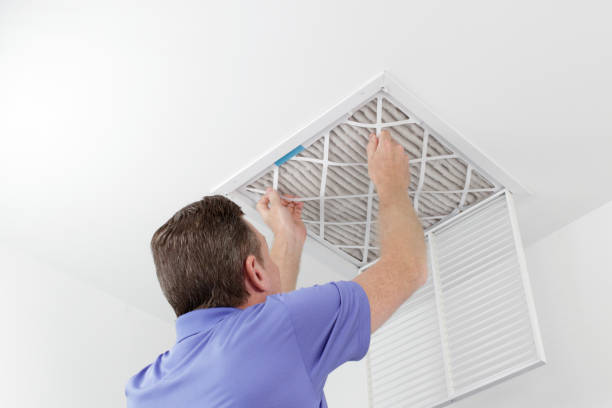 Air Duct Mold Removal in Bayview, CA